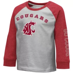 Toddler Colosseum Heathered Gray Washington State Cougars Long Sleeve Raglan T-Shirt
